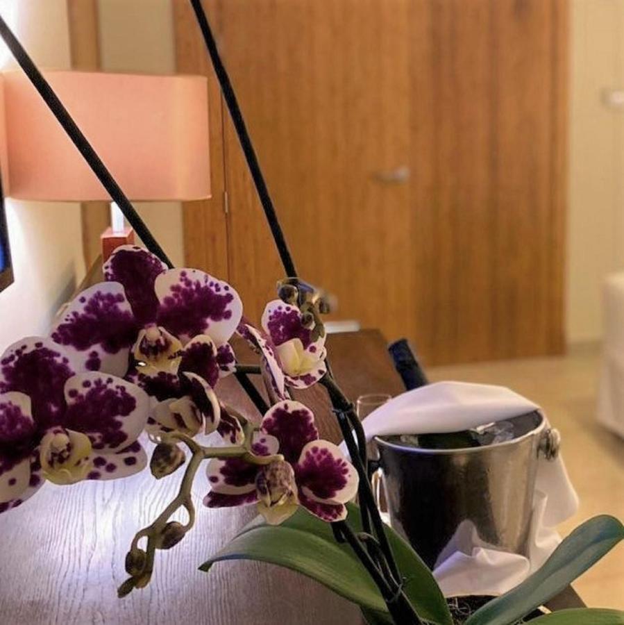 Suite Junior Lit King-Size Allure